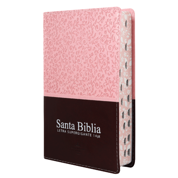 Biblia Reina Valera 1960 Mediana Letra Gigante Imitación Piel Rosa/Marrón [RVR066cLGiPJRZTI]