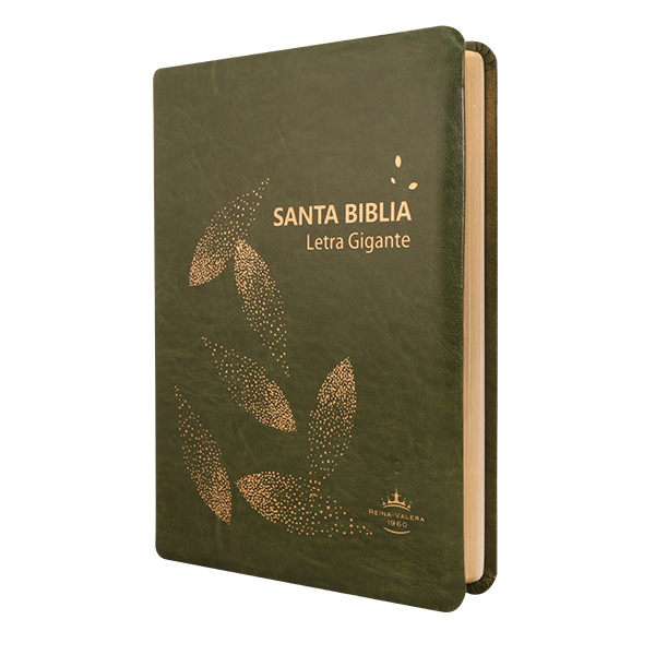 Biblia Reina Valera 1960 Grande Letra Gigante Imitación Piel Verde Oscuro hojas [RVR085cLGIPJR AZ] 