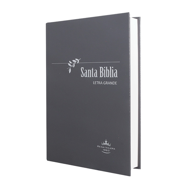Biblia Reina Valera 1960 Mediana Letra Grande Tapa Dura Gris [RVR063LG PY] 