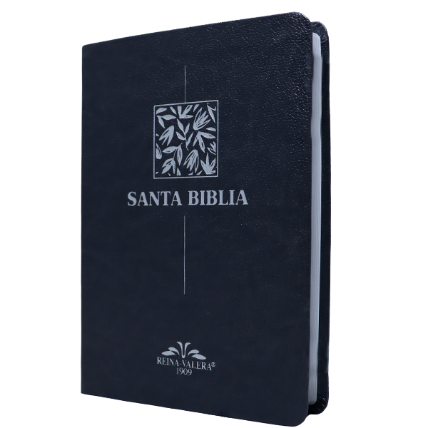 Biblia Reina Valera 1909 Mediana Letra Chica Imitación Piel Gris VR055 SS 