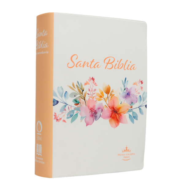 Biblia Reina Valera 1960 Chica Letra Grande 11 pts Vinil RVR042cPJR Amaranth 