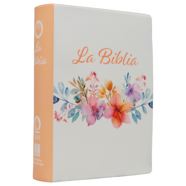 Biblia Traducción Lenguaje Actual Chica Letra Grande 8 pts Vinil TLA042LG Amaranth 