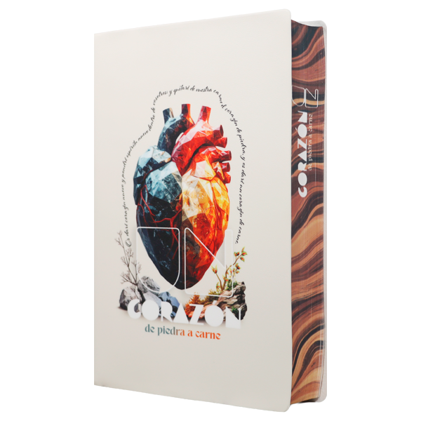 Biblia Reina Valera 1960 Mediana Letra Gigante 14 pts Vinil  RVR062cLGiPJR Corazón