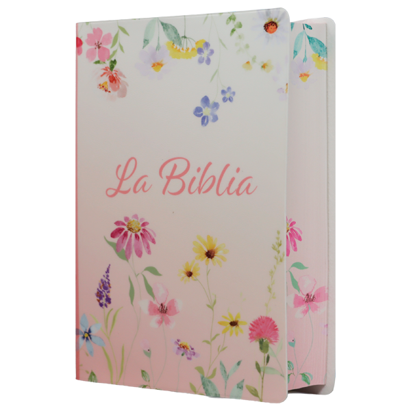 Biblia Traducción Lenguaje Actual Chica Letra Grande 8 pts Vinil  TLA042LG Lustre 