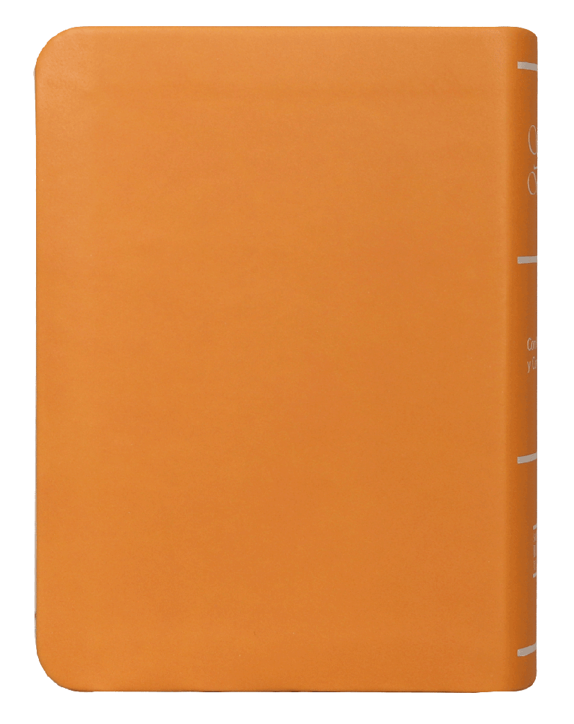 CONTRAPORTADA