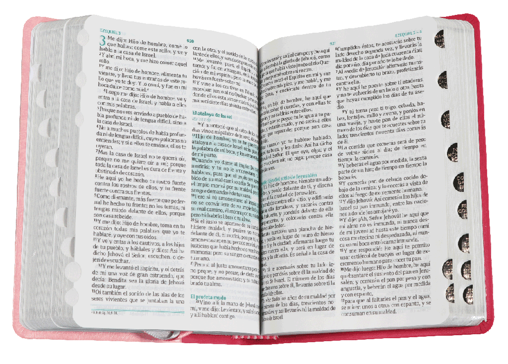 BIBLIA RVR045cLMFBTI ROSA FUENTE DE