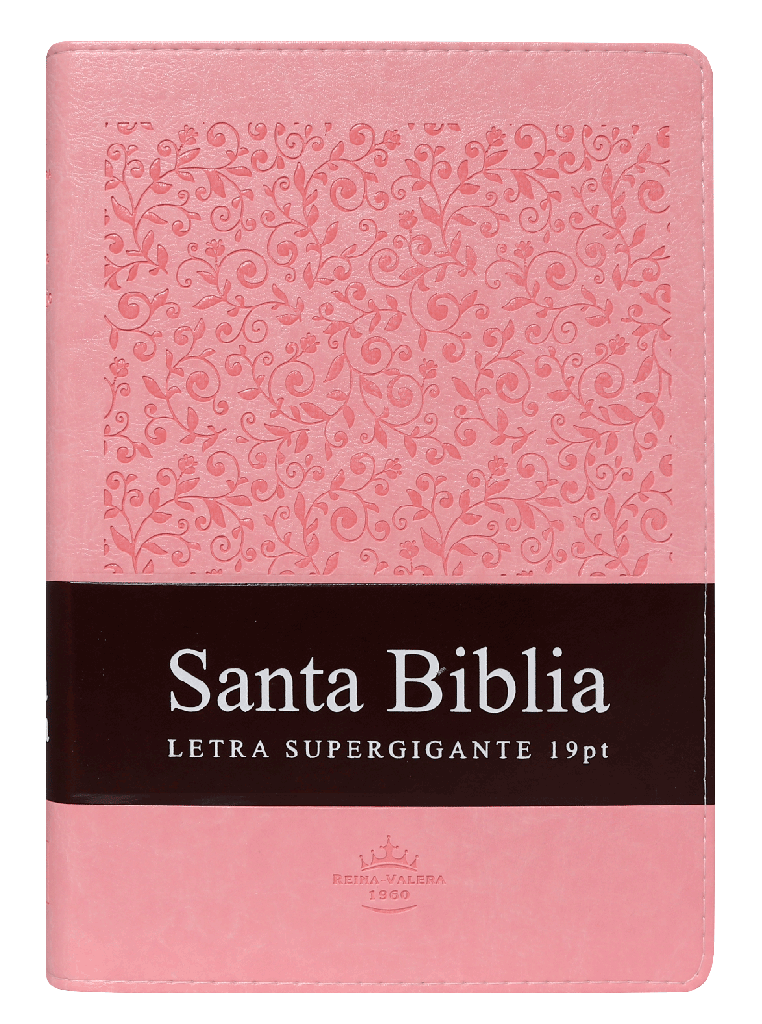 BIBLIA RVR086cLSGiTIPJR ROSA