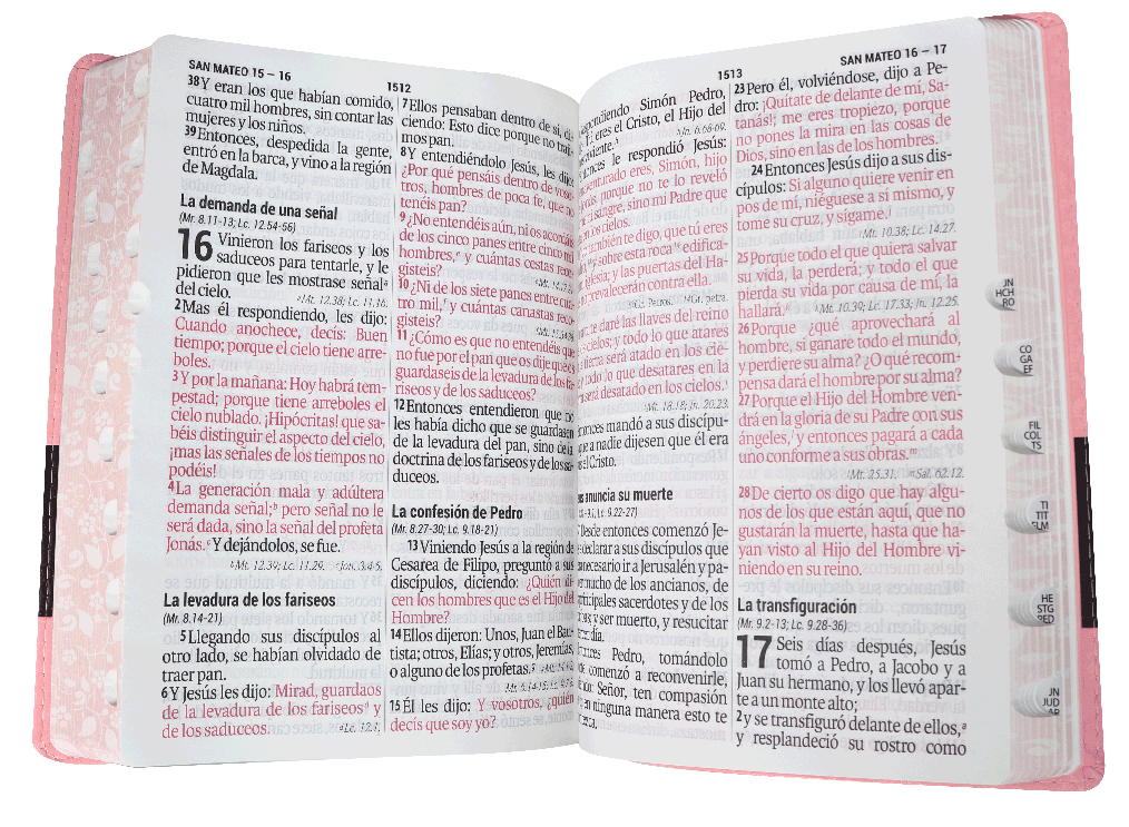 BIBLIA RVR086cLSGiTIPJR ROSA