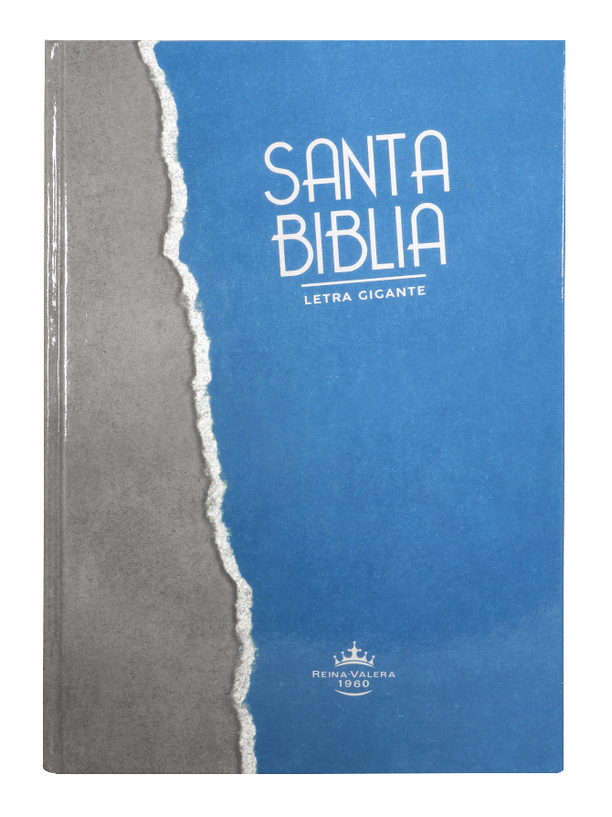 BIBLIA LETRA GIGANTE GRIS/AZUL RVR083cLGiPJR