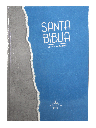 BIBLIA LETRA GIGANTE GRIS/AZUL RVR083cLGiPJR