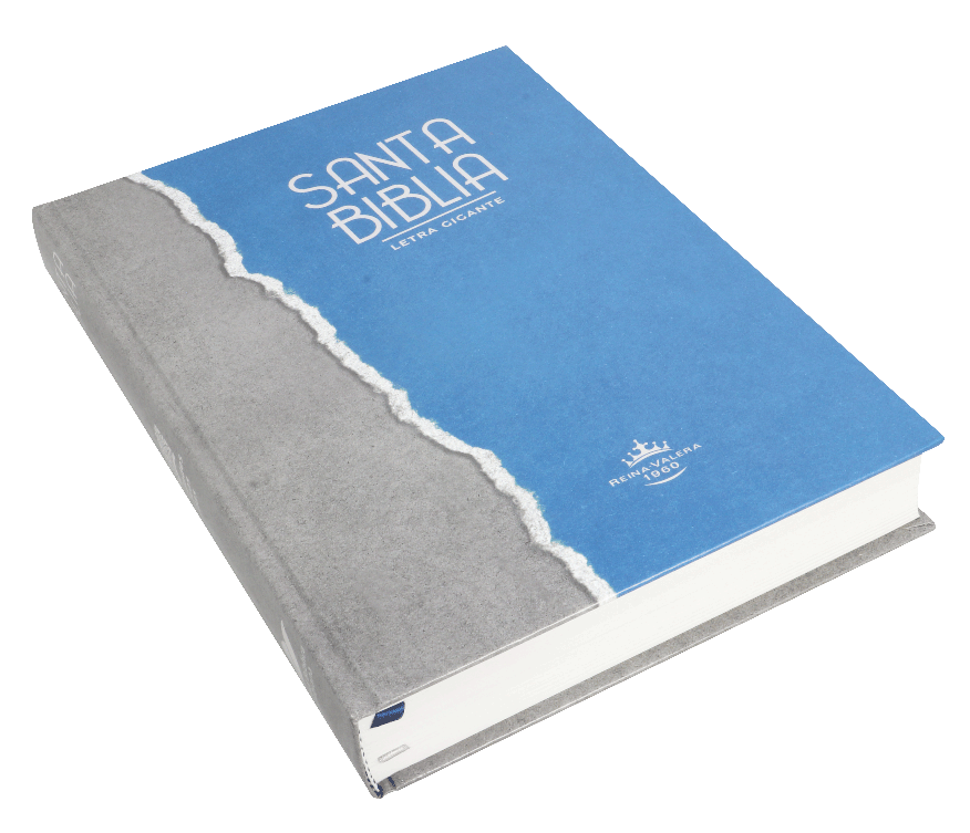 BIBLIA LETRA GIGANTE GRIS/AZUL RVR083cLGiPJR