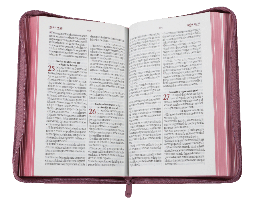 BIBLIA LETRA GRANDE ROSA RVR065cZLGPJR