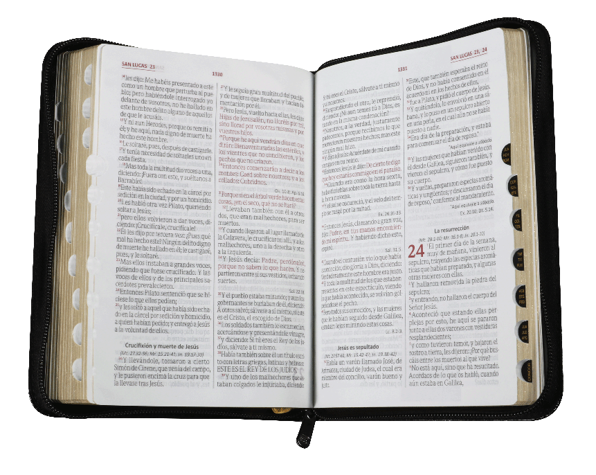 BIBLIA LETRA GRANDE ACOLCHADA NEGRO RVR055cZTILGaPJR