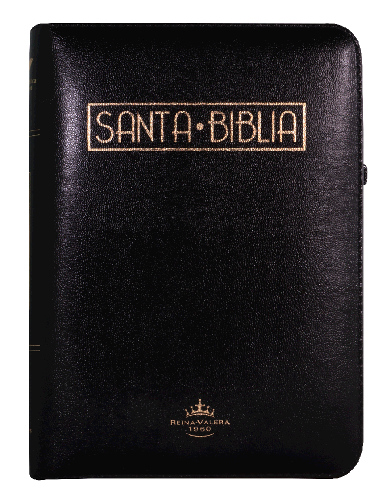 BIBLIA LETRA GRANDE ACOLCHADA NEGRO RVR055cZTILGaPJR