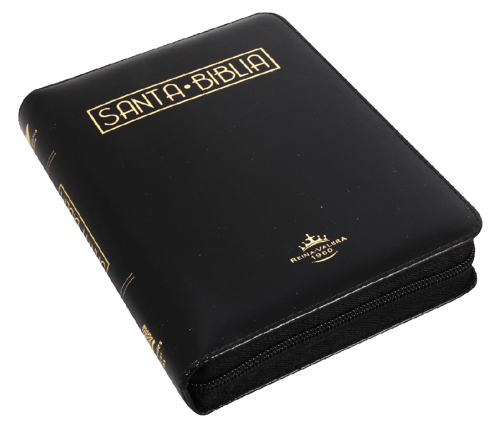 BIBLIA LETRA GRANDE ACOLCHADA NEGRO RVR055cZTILGaPJR