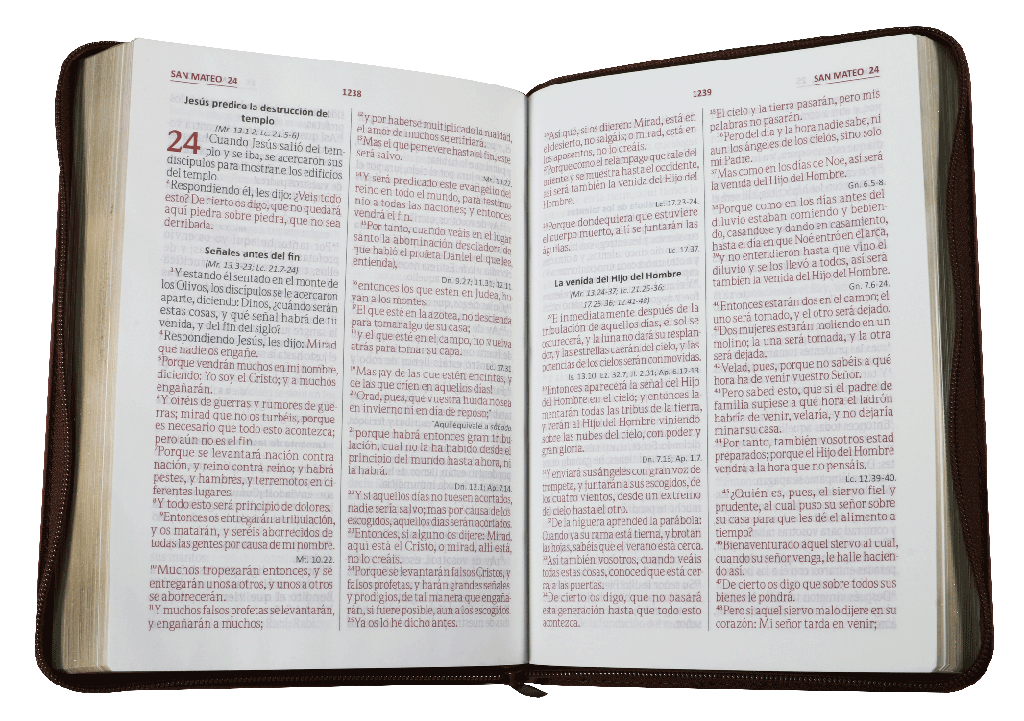 BIBLIA LETRA GIGANTE CAFÉ RVR086cZLGiPJR