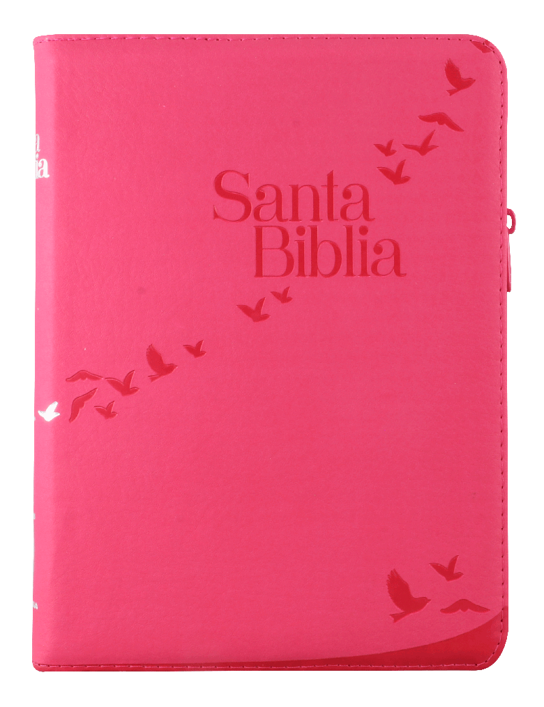 BIBLIA LETRA GIGANTE ROSA RVR086cZLGiPJR