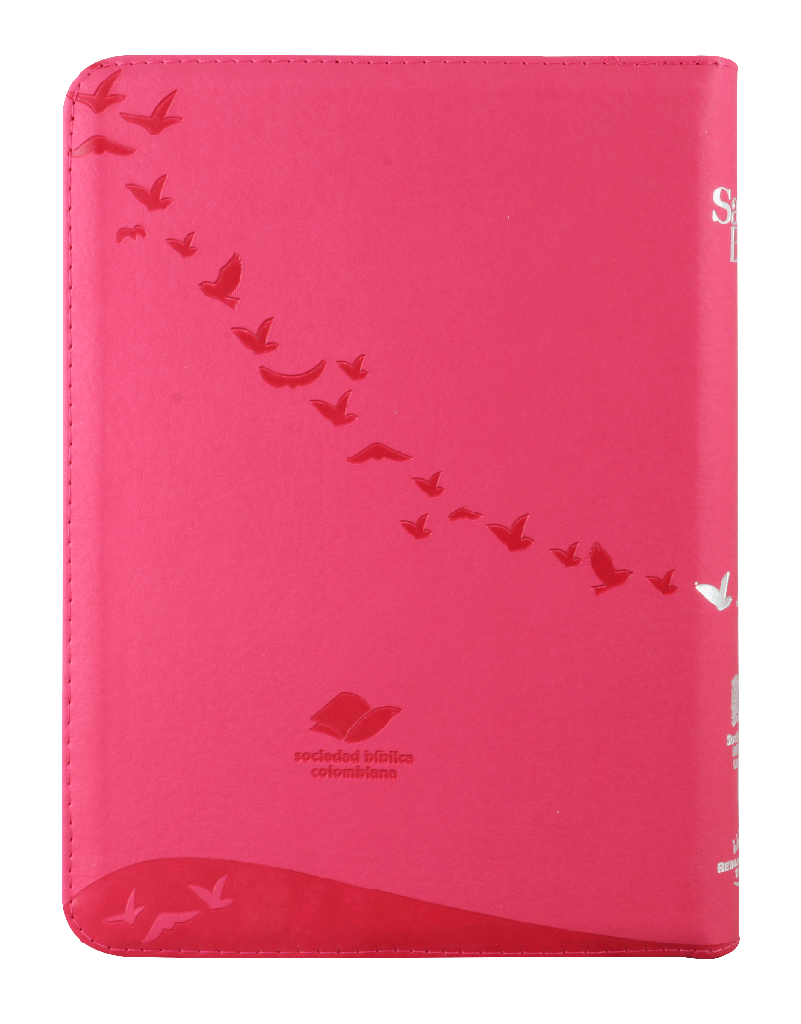 BIBLIA LETRA GIGANTE ROSA RVR086cZLGiPJR