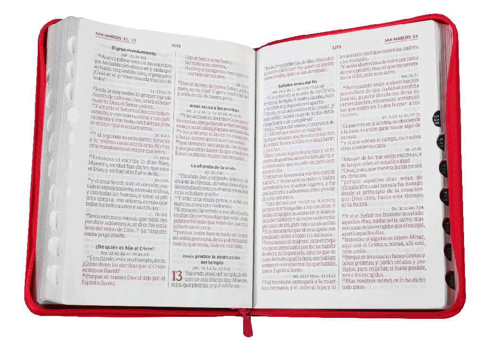 BIBLIA LETRA GIGANTE ROSA RVR086cZTILGiPJR