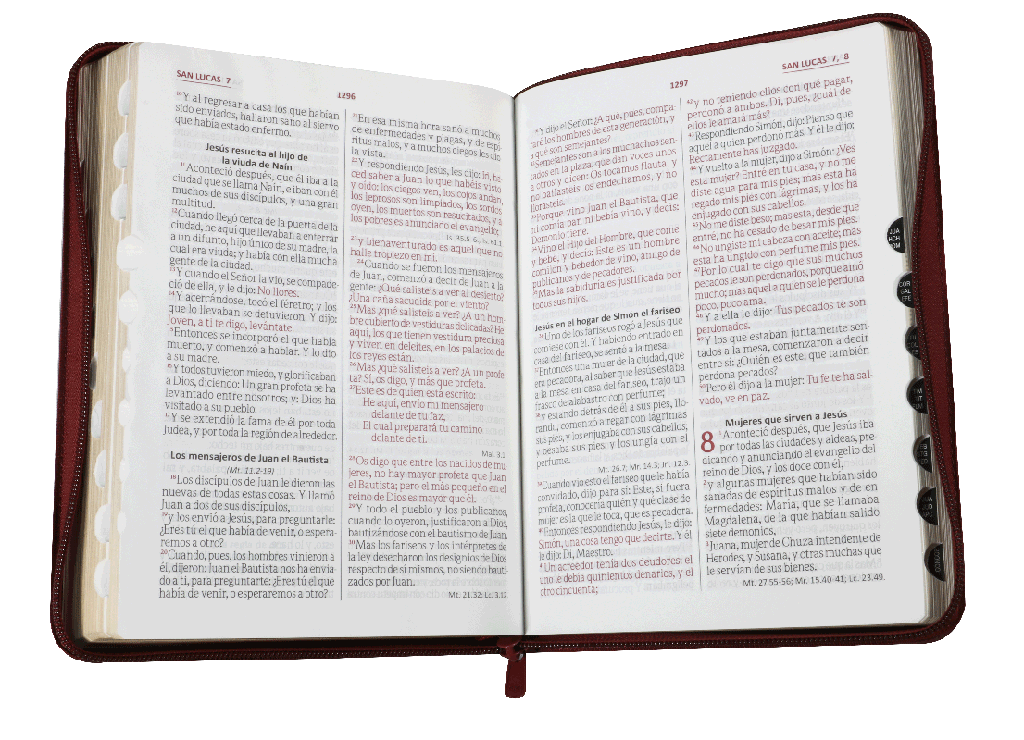 BIBLIA LETRA GIGANTE VINO RVR086cZTILGiPJR