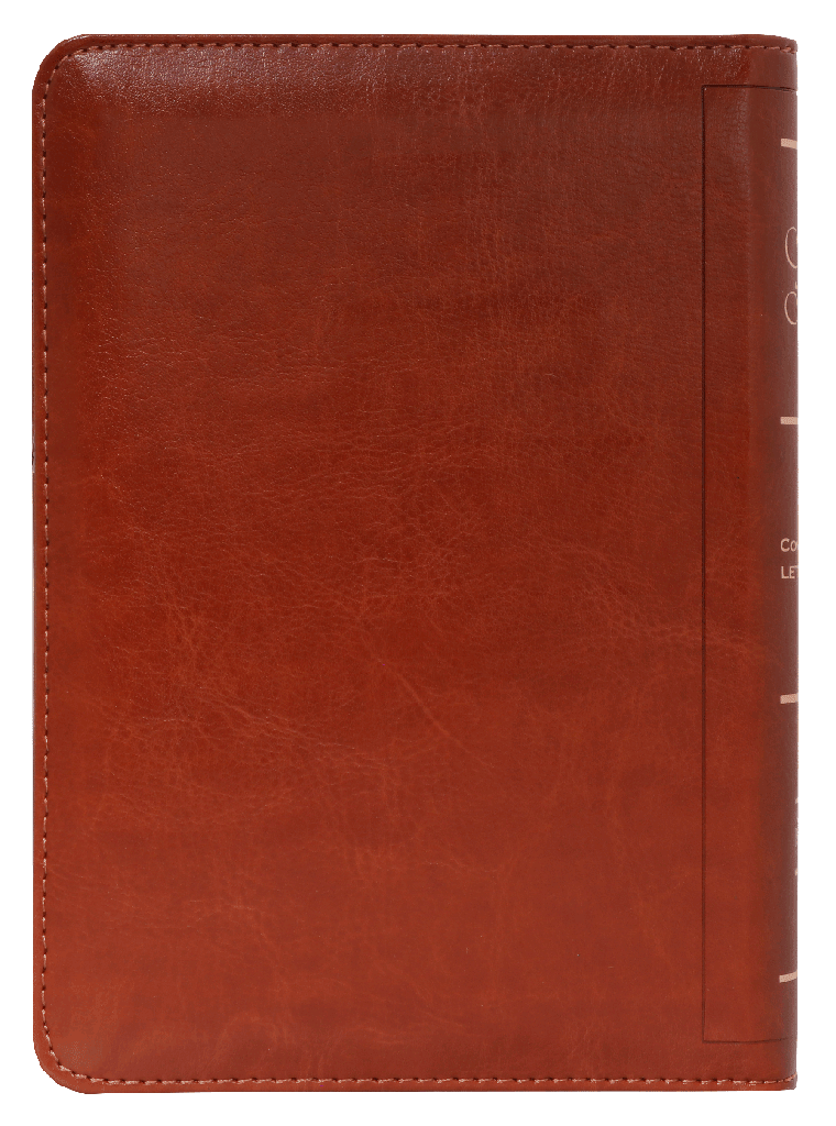 CONTRAPORTADA