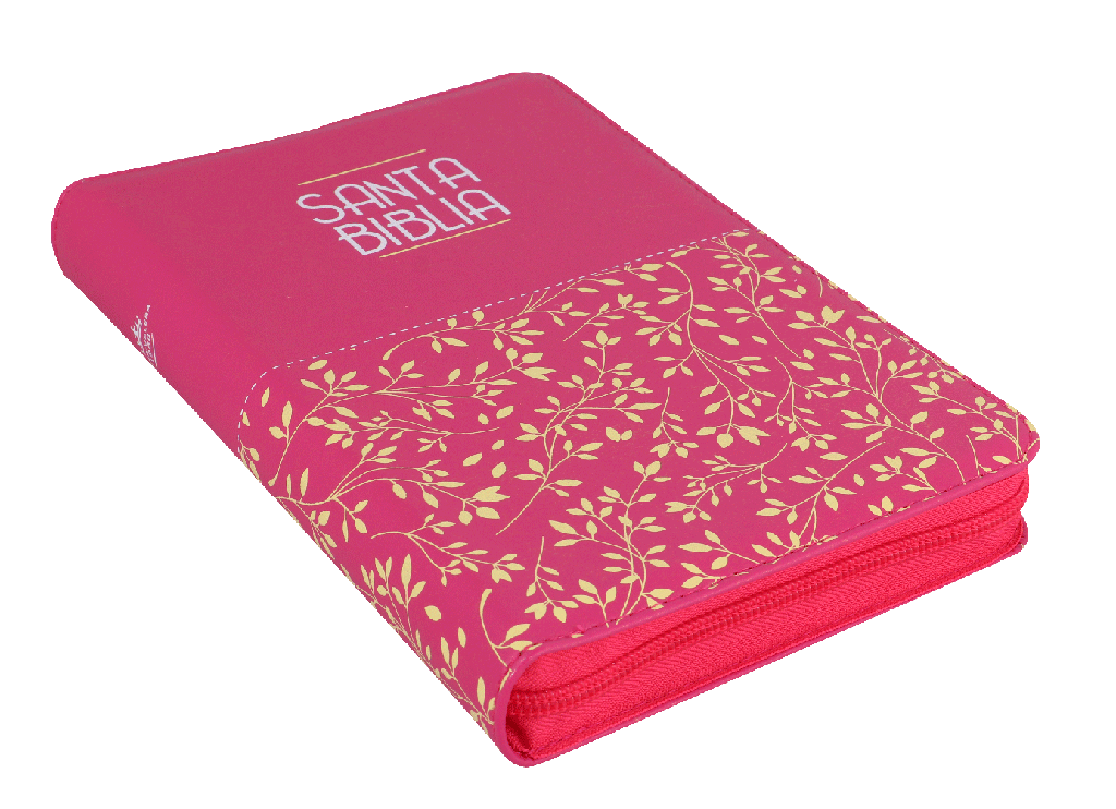 Biblia línea colores mediana - fucsia/azul 9789587453645