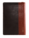 CONTRAPORTADA