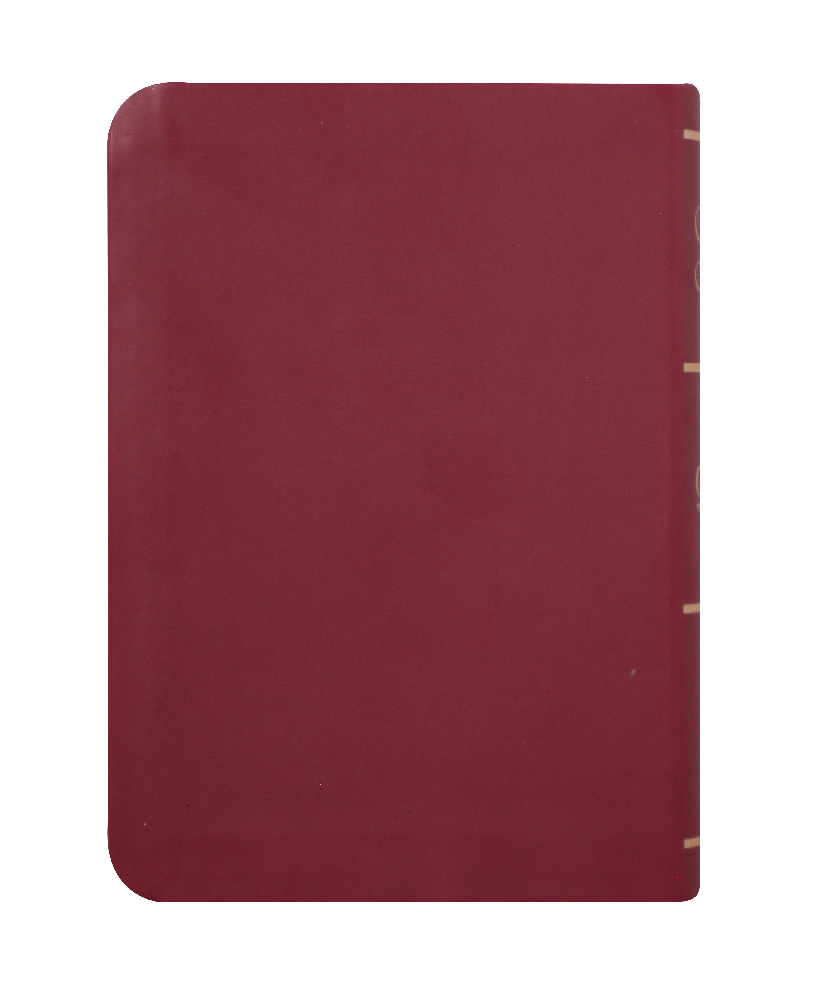 BIBLIA RVC025LGPJR BOLSILLO VINIL VINO