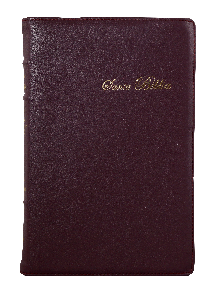 Biblia Reina Valera 1960 Mediana Letra Grande Morado Canto Floreado [RVR066cLPJRTI]