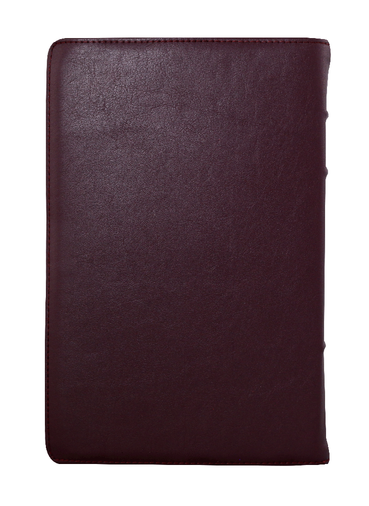 Biblia Reina Valera 1960 Mediana Letra Grande Morado Canto Floreado [RVR066cLPJRTI]