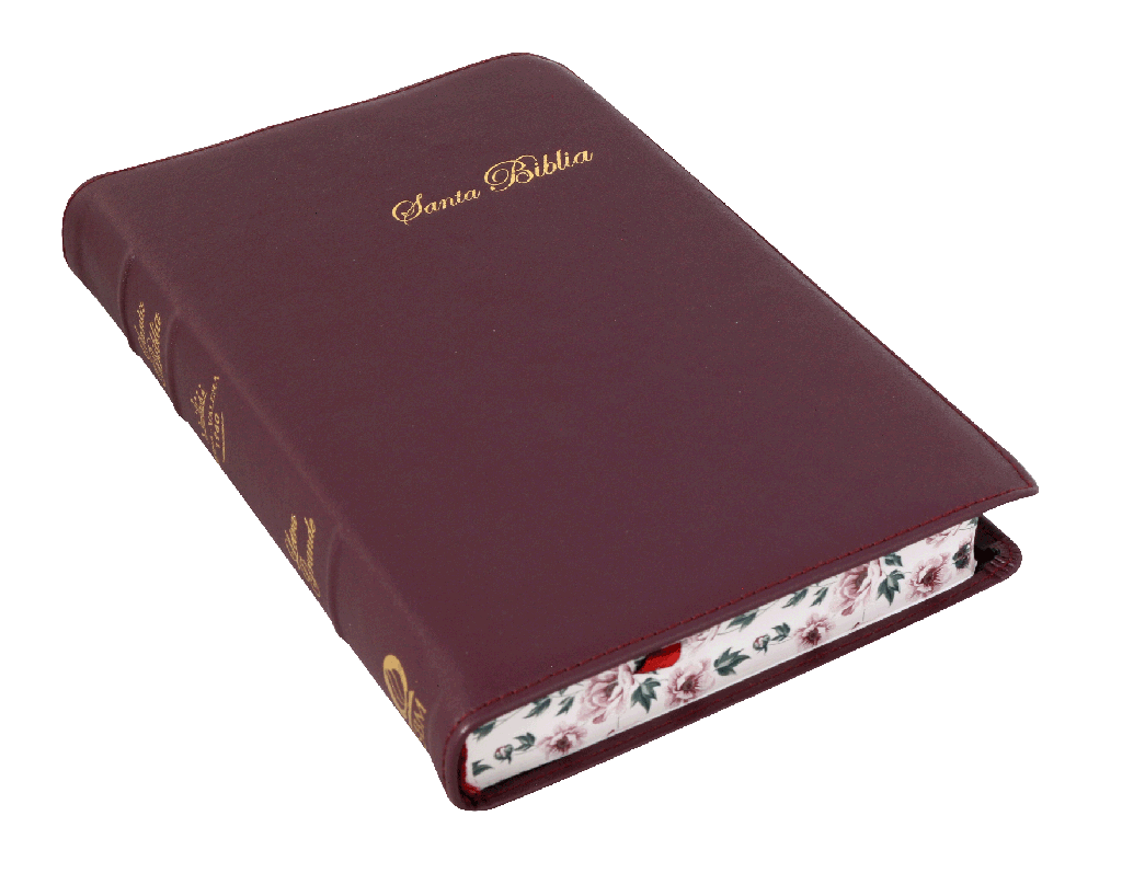 Biblia Reina Valera 1960 Mediana Letra Grande Morado Canto Floreado [RVR066cLPJRTI]