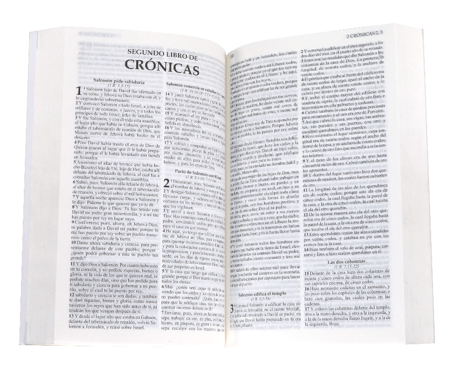 BIBLIA DE PROMESAS ECONOM JOVENES