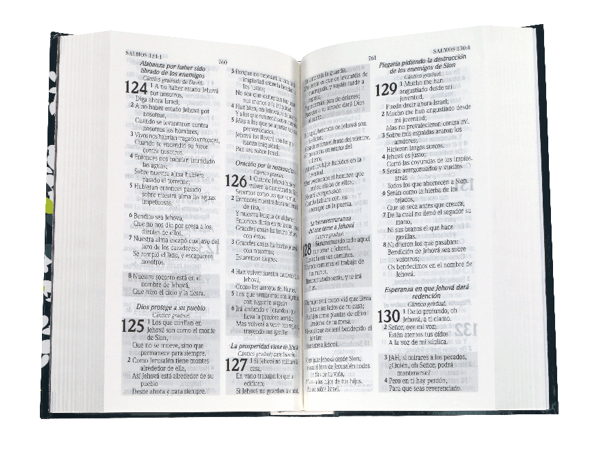 BIBLIA DE PROMESAS TAMAÑO MANUAL TD