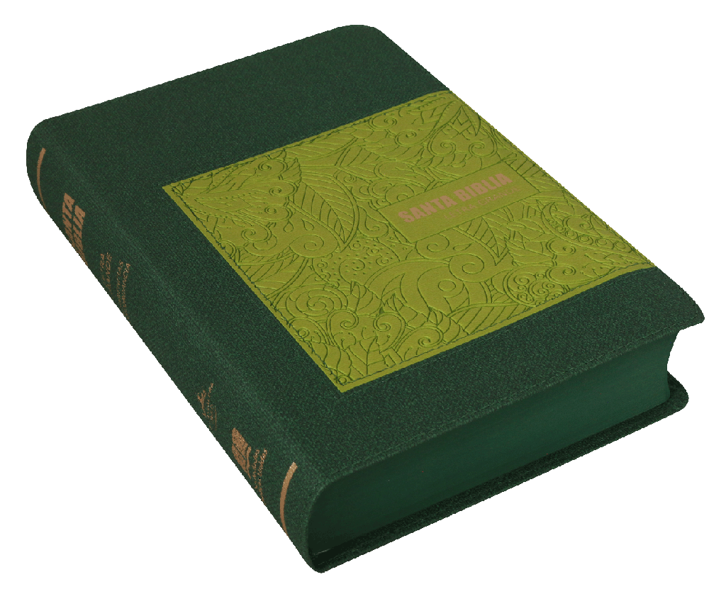 BIBLIA RVR065CLG HI VERDE