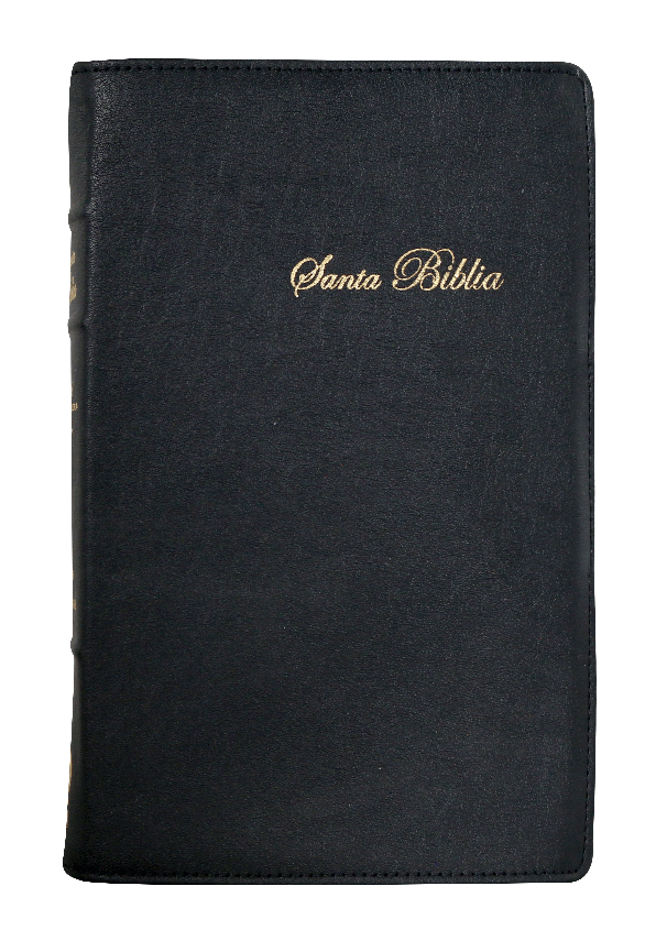 BIBLIA RVR065cLGPJR SIMIPIEL NEGRO