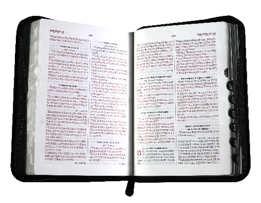 Biblia de Estudio Oraciones Reina Valera 1960 Mediana Letra Grande Imitación Piel Gris Negro Código QR [RVR056cZLGPJR]