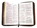Biblia de Estudio Oraciones Reina Valera 1960 Mediana Letra Grande Imitación Piel Café Código QR [RVR056cZLGPJR]