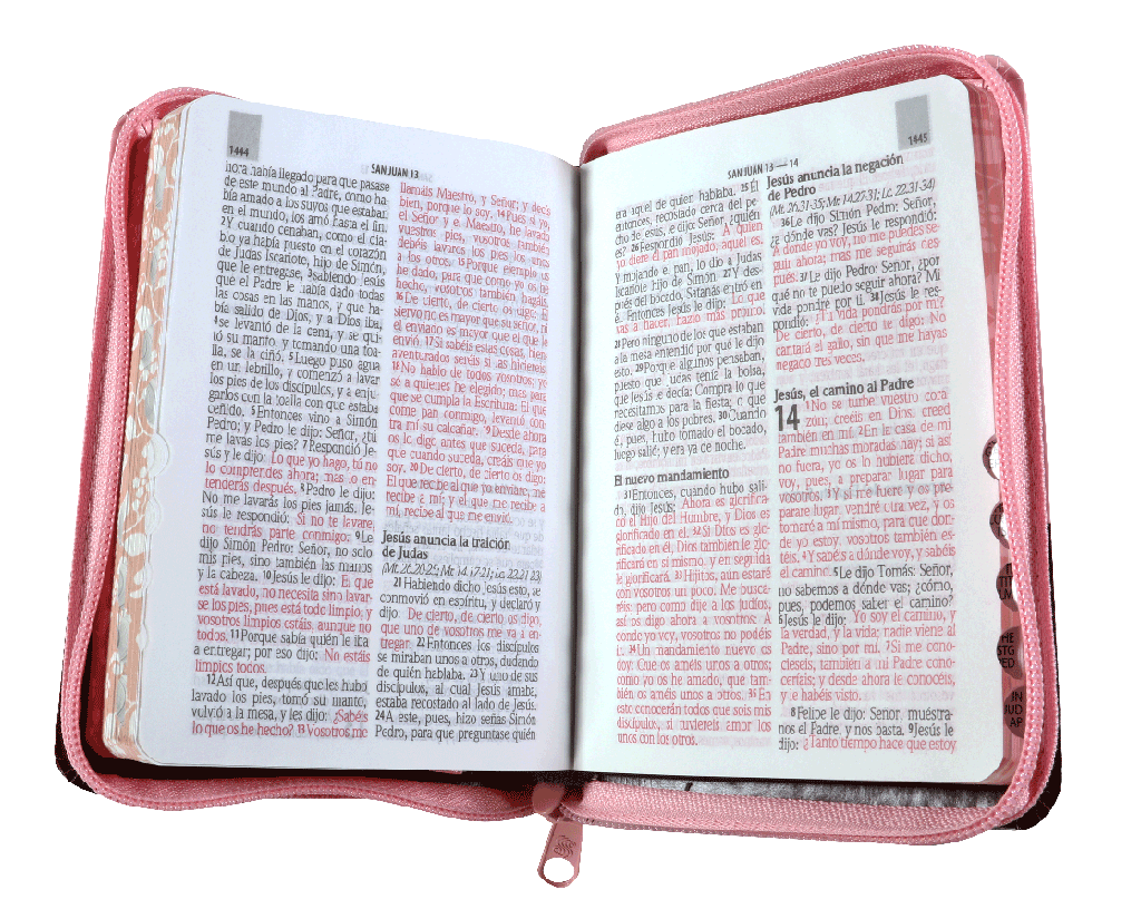 Biblia Reina Valera 1960 Tamaño Bolsillo Letra Mediana Imitación Piel Rosa Marrón (RVR26cLSGiPJRZTI)