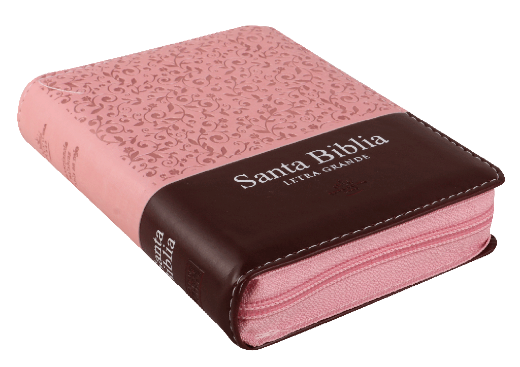 Biblia Reina Valera 1960 Tamaño Bolsillo Letra Mediana Imitación Piel Rosa Marrón (RVR26cLSGiPJRZTI)