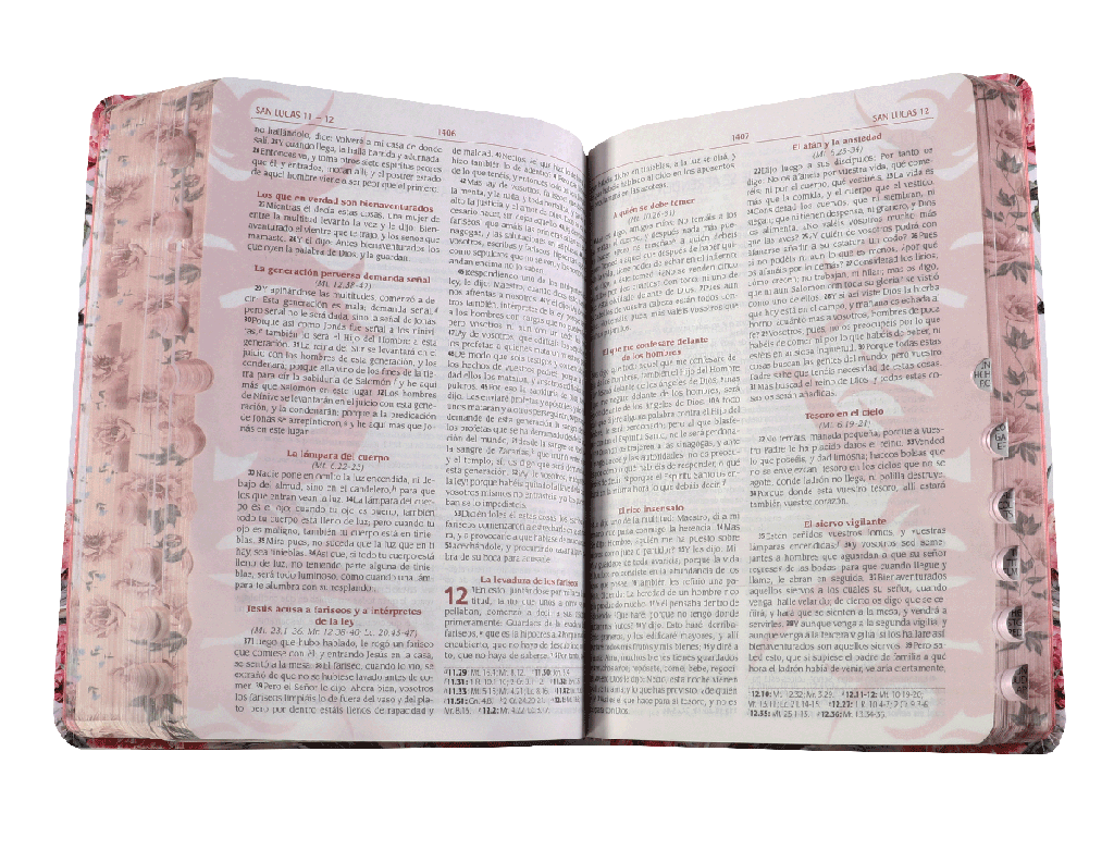 Biblia de Estudio Predicación de Avivamiento Reina Valera 1960 Grande Letra Grande Flores (RVR086cLGEE-PEN)