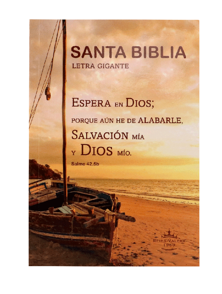 Biblia Reina Valera 1960 Mediana Letra Gigante Rústica (RVR60ecLGiPJR)