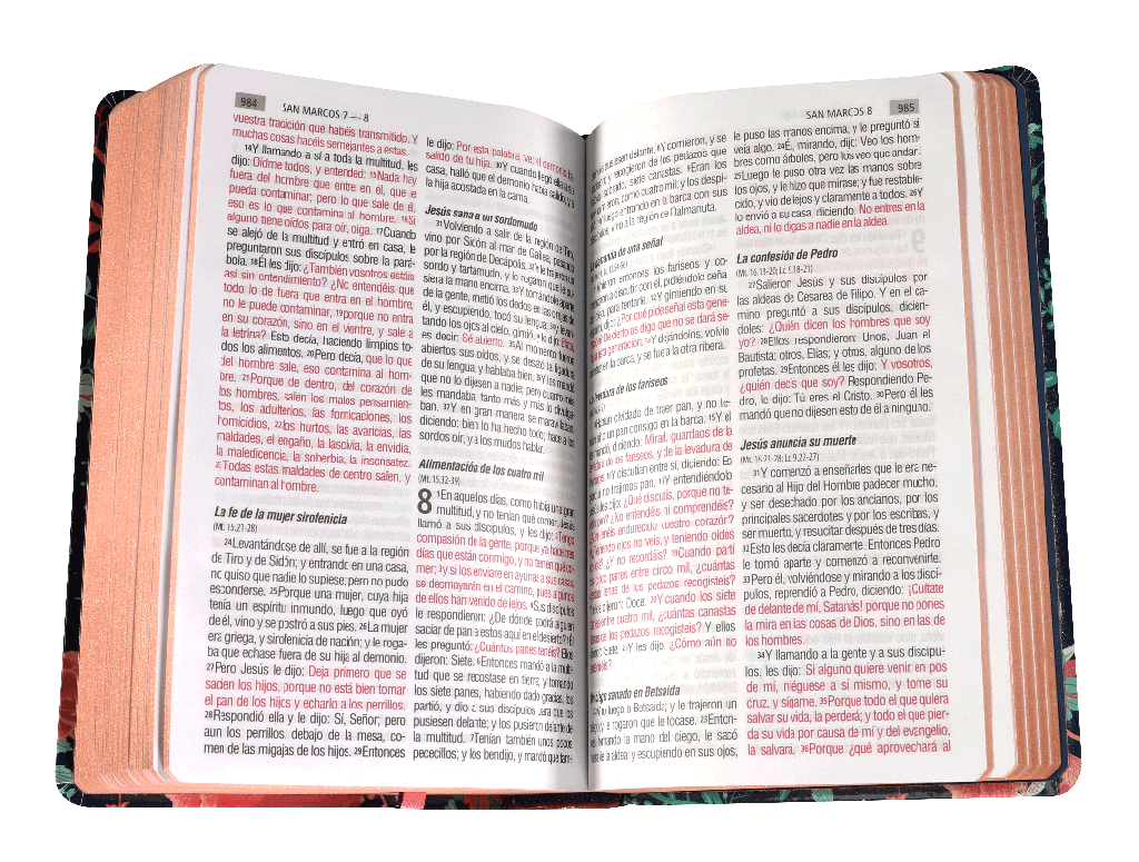 Biblia Reina Valera 1960 Tapa Dura Azul Flores Canto Bronce [RVR063CLGPJR]