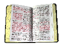 Biblia Reina Valera 1960 Tapa Dura Ilustrada Letra Grande [RVR063CLGPJR]