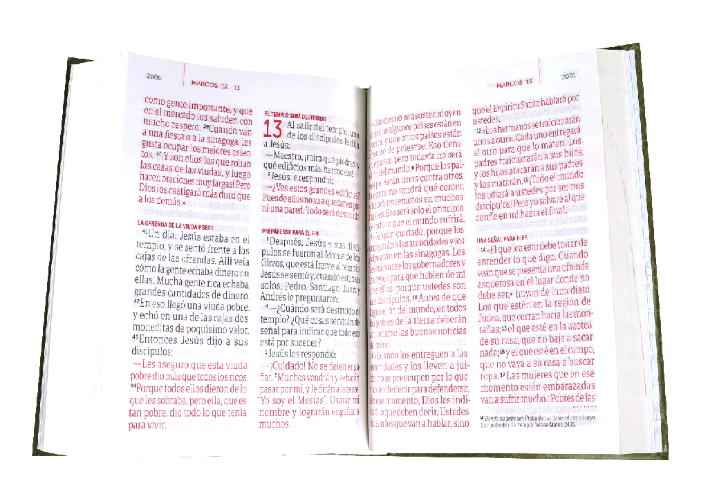 Biblia Traducción Lenguaje Actual Tapa Dura Marrón Letra Super Gigante [TLA083LSGiPJR]