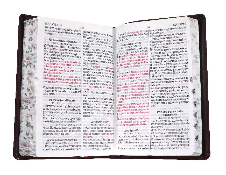 Biblia Reina Valera 1960 Mediana Letra Grande Rosa Canto Floreado [RVR066cLPJRTI]