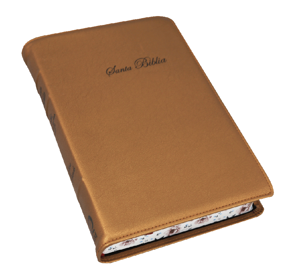 Biblia Reina Valera 1960 Mediana Letra Grande Curpiel Cobre [RVR066cLGPJRTI]