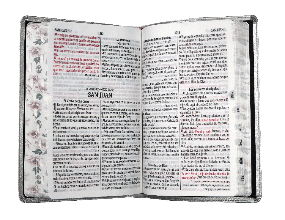 Biblia Reina Valera 1960 Mediana Letra Grande Curpiel Plata [RVR066cLGPJRTI]