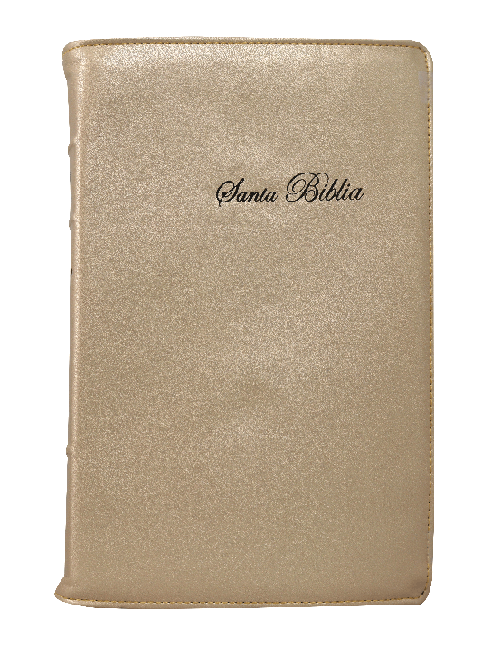 Biblia Reina Valera 1960 Mediana Letra Grande Curpiel Dorado [RVR066cLGPJRTI]