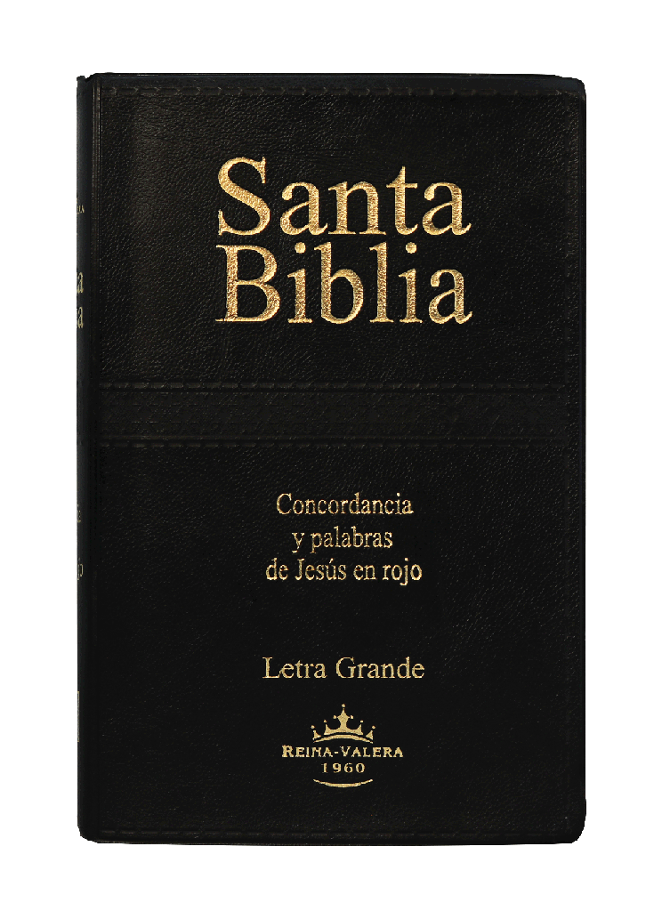 Biblia Reina Valera 1960 Letra Grande Negro [RVR062CLGPJR]