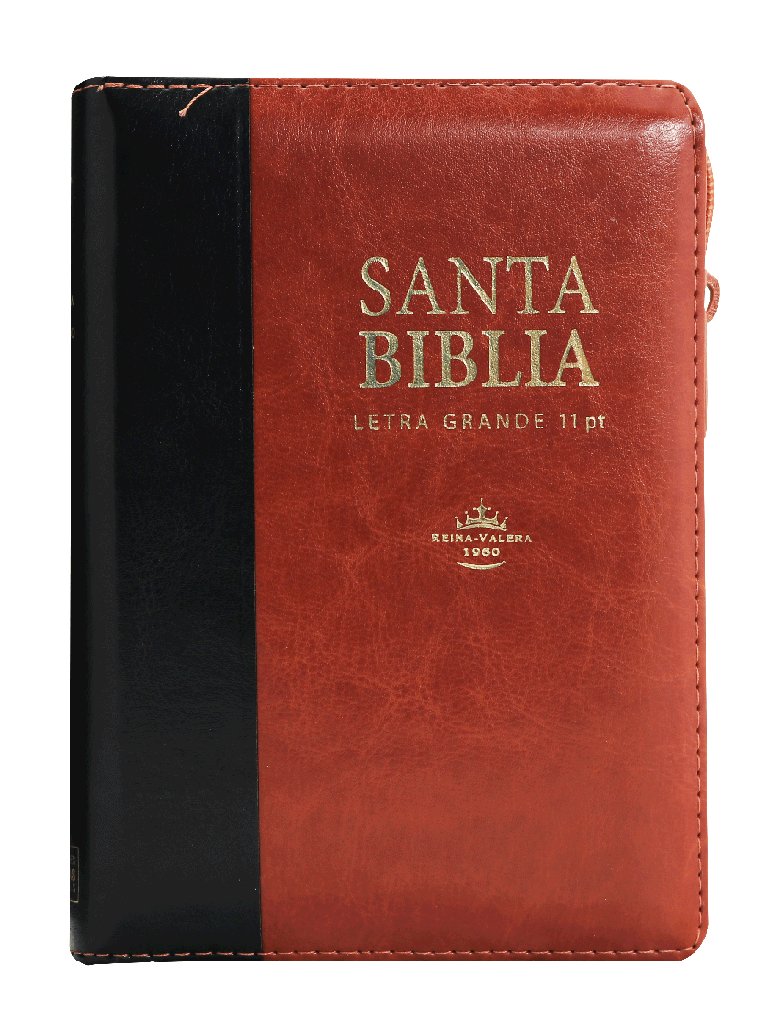 Biblia Reina Valera 1960 Letra Grande Marrón/Negro [RVR046cLSGiPJRZTI]